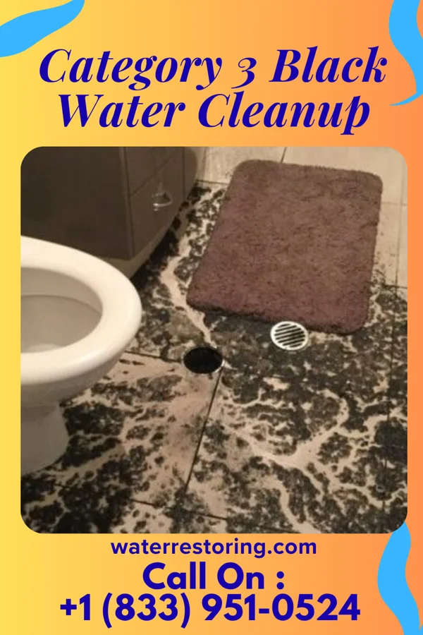 Category 3 Black Water Cleanup in Scanlon, MN